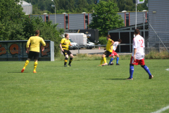 IMG_0603