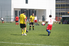 IMG_0606